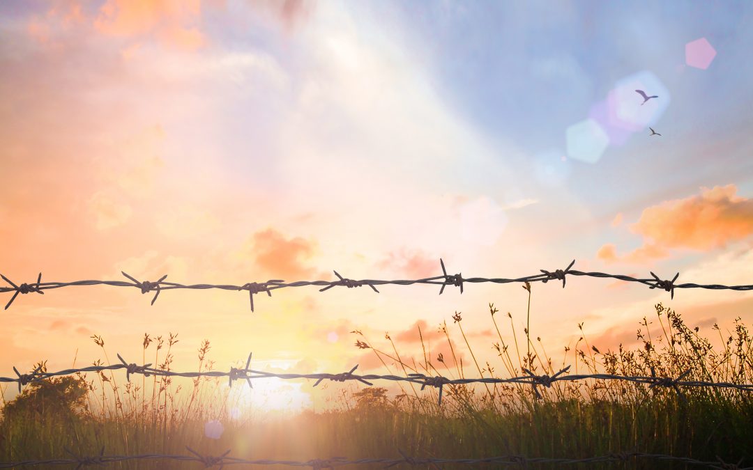 EU: Entry into Force of the EU Pact on Migration and Asylum
